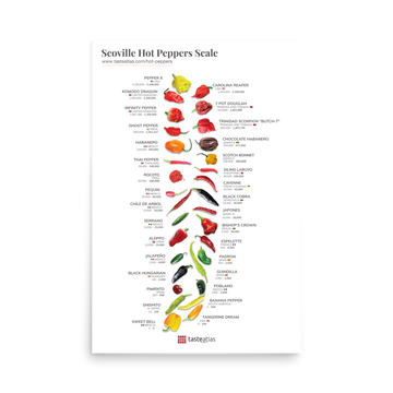 Scoville Hot Peppers Scale Poster (in)