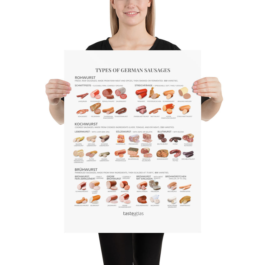 Types Of German Sausages Poster (in)